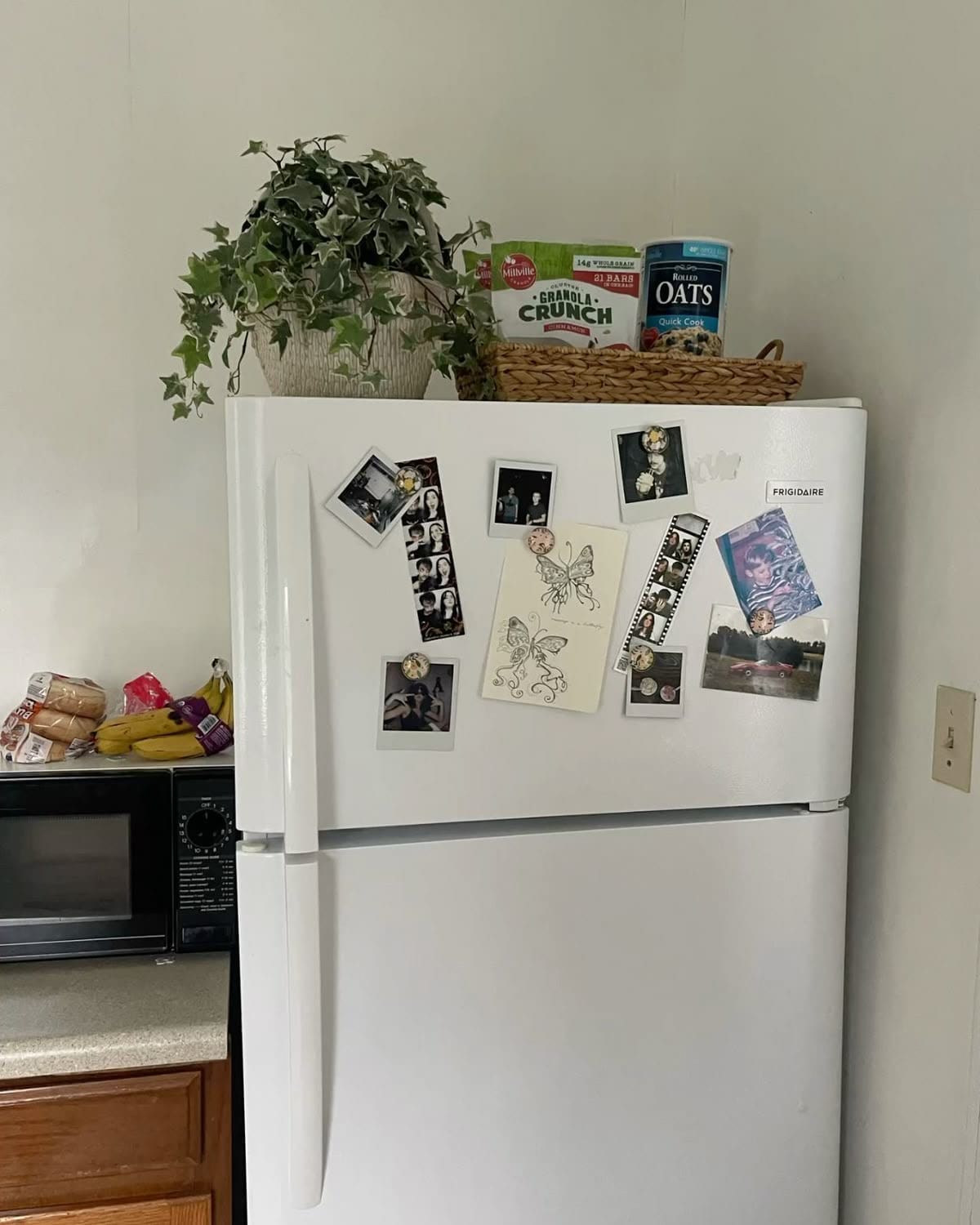24 Genius Top of Fridge Decor Ideas You'll Love 65 24 Genius Top of Fridge Decor Ideas You'll Love IMG 3267 Top of Fridge Decor Ideas