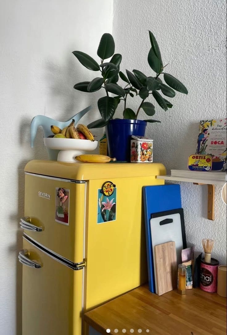 24 Genius Top of Fridge Decor Ideas You'll Love 66 24 Genius Top of Fridge Decor Ideas You'll Love IMG 3269 Top of Fridge Decor Ideas