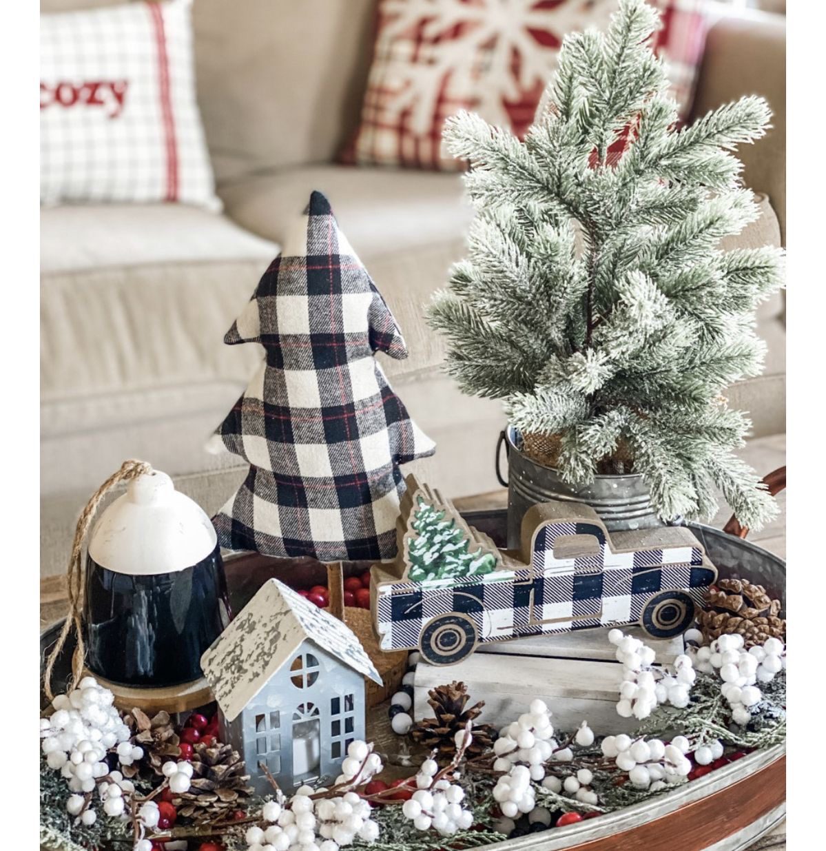 29 Winter Decor Ideas for a Warm and Inviting Home 102 29 Winter Decor Ideas for a Warm and Inviting Home winter tray IMG 0661 Winter Decor Ideas