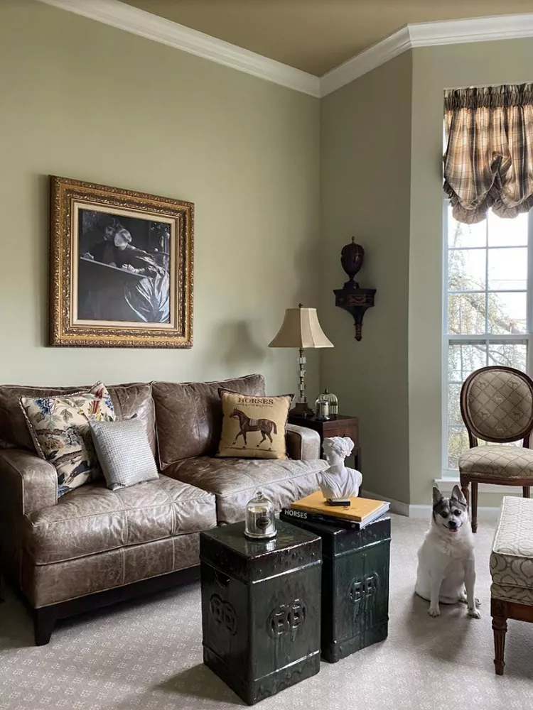 40 Best Sage Green Living Room Ideas to Inspire You 121 40 Best Sage Green Living Room Ideas to Inspire You D53CB7D4 347A 4CCE B848 B248DB6171BE cropped scaled cef886e5213a4598951d70d8a6fd8a74 Sage Green Living Room